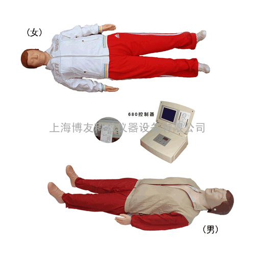 2010版心肺复苏训练模拟人（执行2010心肺复苏指南标准）