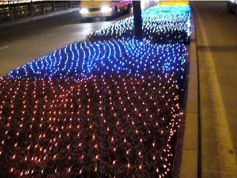 上海星星灯 上海闪灯 装饰LED网灯