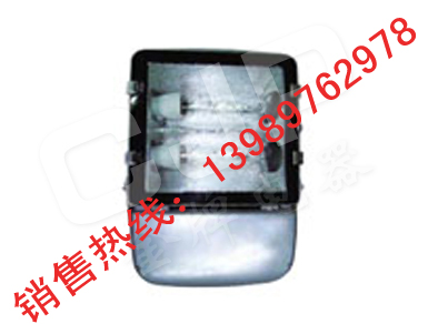 NFC9131-J400 NFC9131-J250 双管投光灯 NFC9131 MH