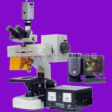 YYF-200研究型荧光显微镜