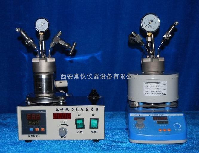 微型磁力高压反应釜-做中国最专业的仪器