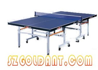 太仓乒乓台专卖 红双喜乒乓台总代理 苏州乒乓台价格澳瑞特体育用品公司