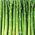 购买蔬菜种子 _进口蔬菜种子_特色蔬菜种子就来北京中农金玉农业发展有限公司