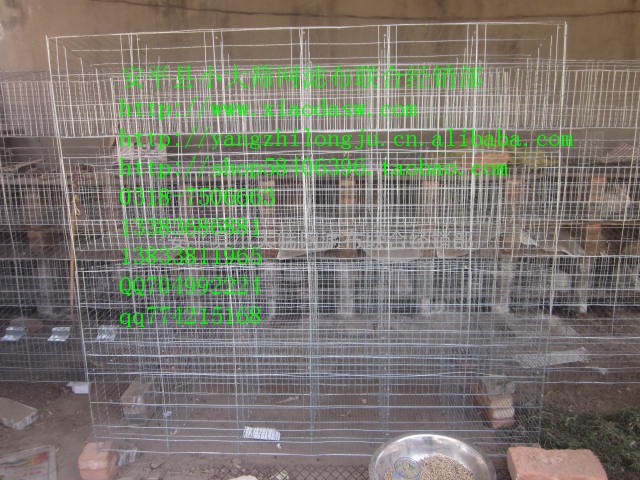 子母兔笼种兔笼肉兔笼獭兔笼各种鸡鸽兔笼养殖设备