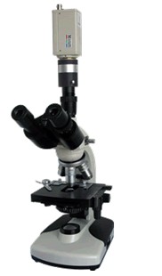 XSP-BM-2CBAC 电脑型生物显微镜