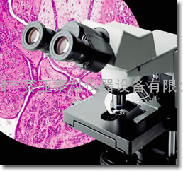 CX31奥林巴斯显微镜