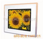 14&quot;digital photo frames