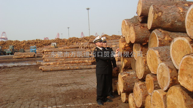 深圳木材进口代理报关，盐田港板材木方进口清关费用