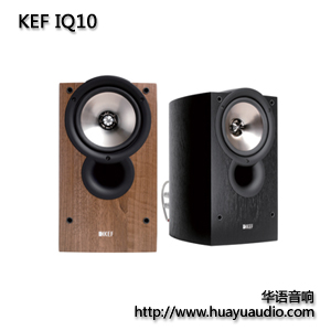 KEF IQ10 KEF音箱