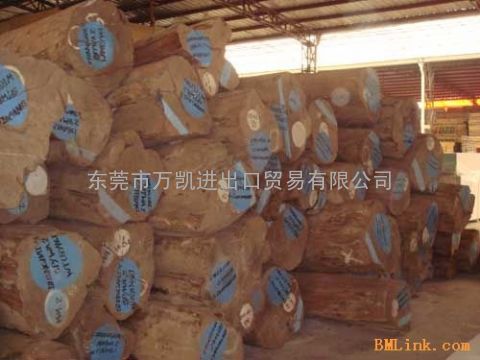 中山港进口报关行/木材进口报关清关，深圳原木进口代理