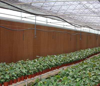 12、	供应温室大棚降温水帘，提供专业的温室降温系统设计和温室降温设备