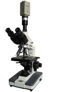 XSP-BM-8CAC 电脑型生物显微镜