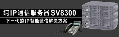 NEC SV8300