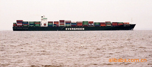 东莞到上海地区海运物流集装箱运输服务