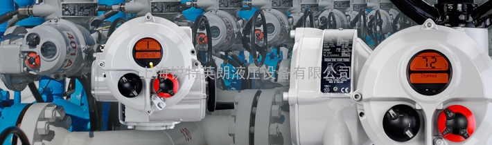 英国罗托克ROTORK电动执行机构