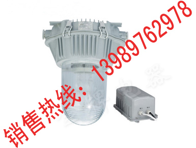 NEC9130A 防眩应急节能泛光灯 NEC9130A  防水防尘房子应急灯 NEC9130A 应急