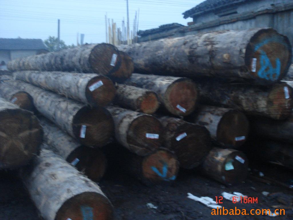 惠州桉木进口清关流程