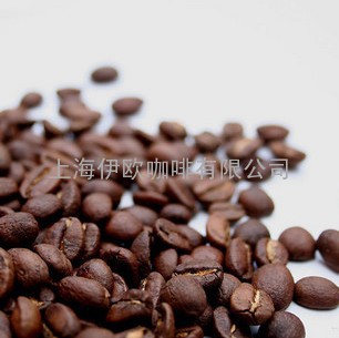 进口咖啡豆批发零售 蓝山咖啡批发