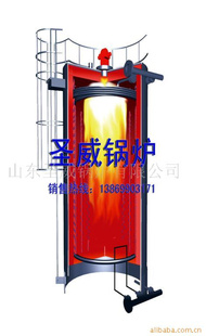 供应立式燃气导热油炉(图)