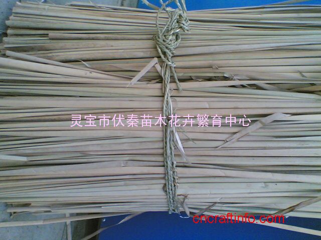 供干蒲草长1.5-2米30吨