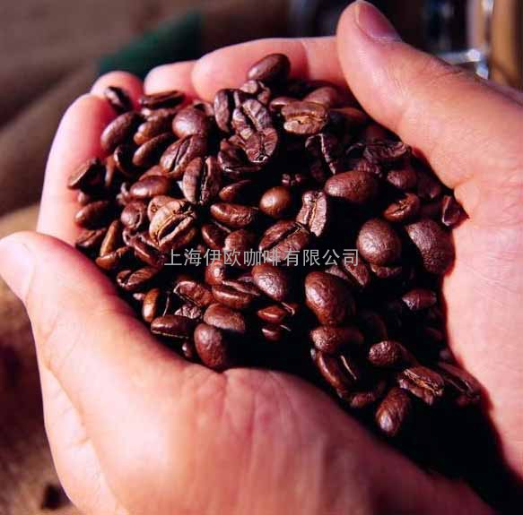 进口咖啡豆批发零售意大利咖啡