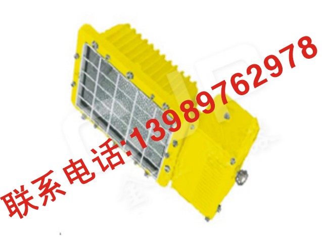 BTC6131 厂用防爆泛光灯 BTC6131 防爆路灯 BTC6131 J400W J250W