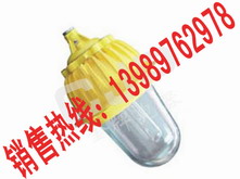 BYC6218 厂用防爆金卤灯 J400W J250W BYC6218 内场防爆灯