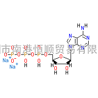 5-腺苷三磷酸二钠盐(ATP)|CAS:987-65-5