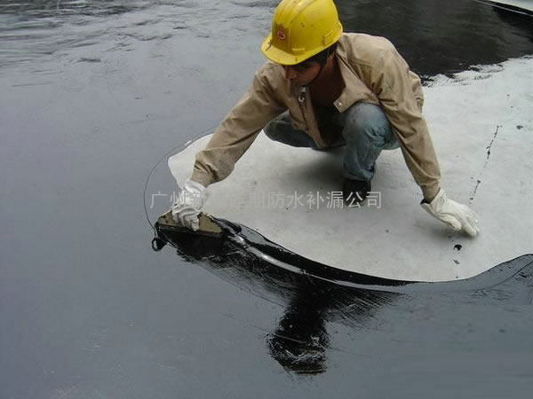 东莞万东中堂高埗望牛墩道滘天面厕所阳台屋面外墙清洗防水补漏公司