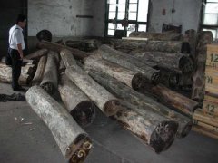 蒺藜木进口,清关代理 原木一般贸易进口