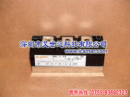 DT81F06KCC欧派克模块 现货供应