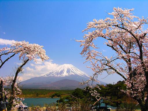 广州出发日本东京迪斯尼乐园大阪城富士山常规六天团