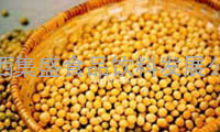 批发供应优质黄豆 小麦 大豆 绿豆 泰国香米价格