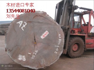 喀麦隆木材原木进口报关清关运输
