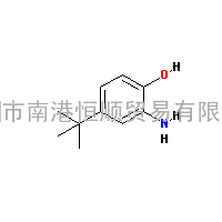 邻氨基对叔丁基苯酚|CAS:1199-46-8