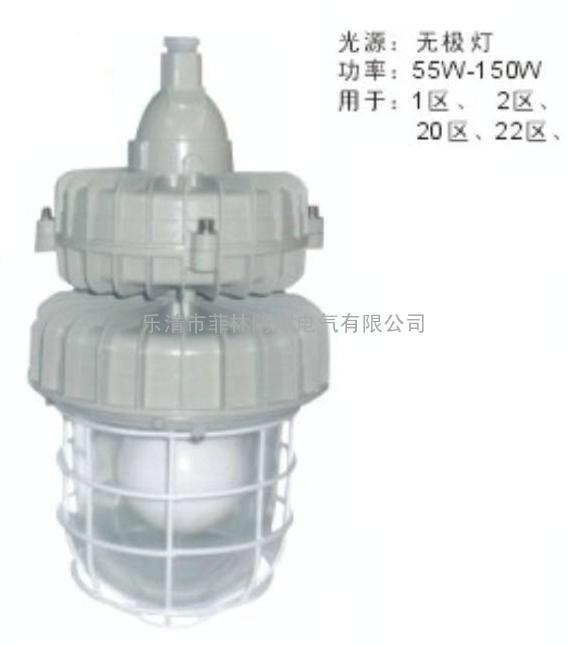 BAD59系列隔爆型防爆无极灯