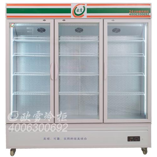 徐州市冷柜-酸奶保鲜柜-苏州水果冷藏柜-江苏熟食柜