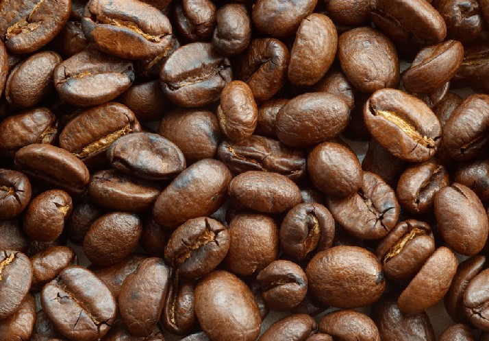 咖啡豆进口运输|咖啡豆整柜进口清关