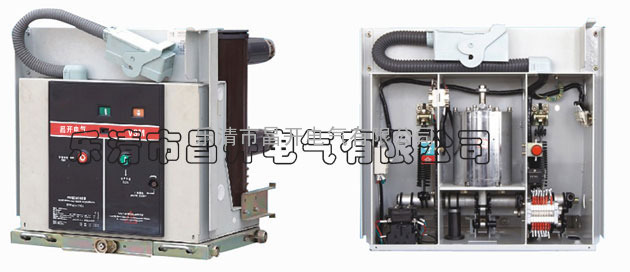 VSM-12永磁真空断路器