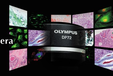 奥林巴斯DP72高端彩色CCD