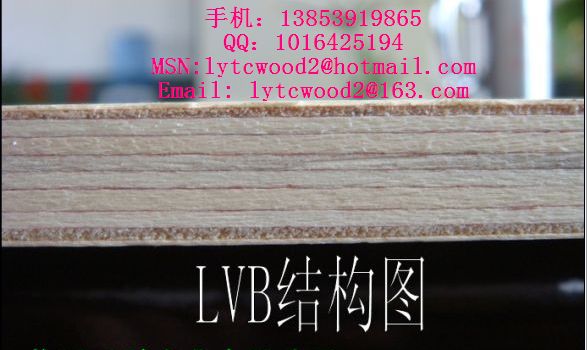 全杨木家具用多层板，漂白杨木LVB家具板