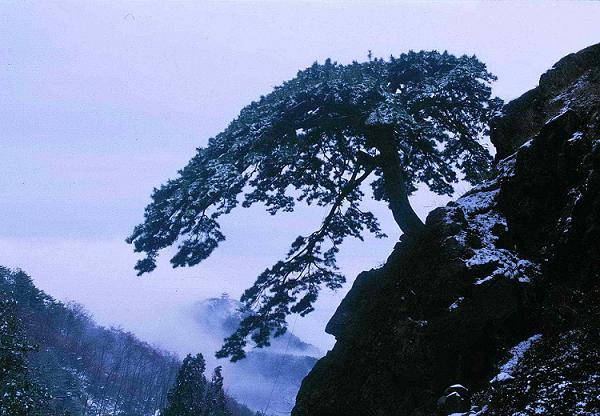 广州到济南|泰安|曲阜|潍坊|青岛双飞五天游