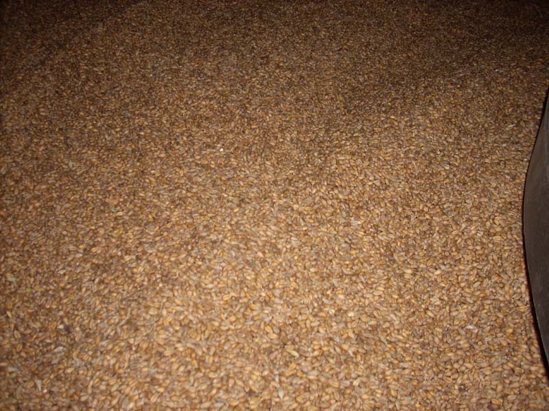 供应小麦面粉