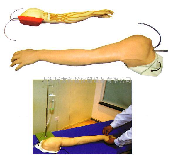 静脉穿刺训练手臂模型,全功能静脉穿刺输液手臂,完整手臂静脉注射训练模型