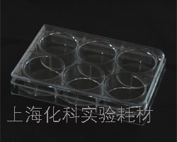 上海化科厂家直销6孔细胞培养板(6 well cell culture plate)