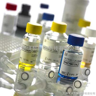 （R型）人参皂苷Rg2，（R型）人参皂苷Rg3，（R型）人参皂苷Rh1