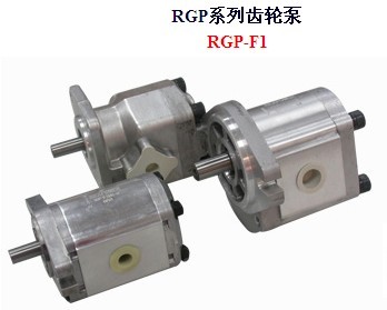 RGP齿轮泵，RGP系列高压齿轮泵，RGP