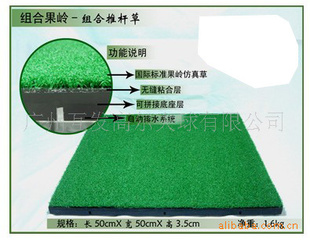 高尔夫学校用品 教学器材 高尔夫推杆果岭 人工果岭 室内练习果岭