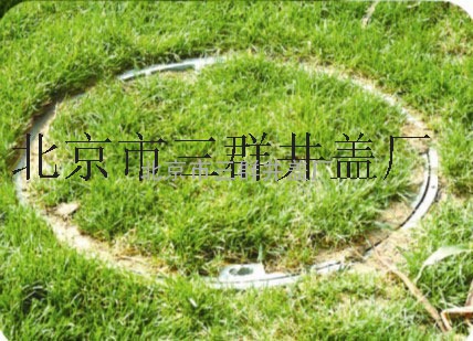 北京三群草坪井盖、花盆绿化井盖