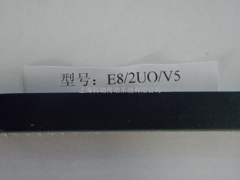 德国西格林SIEGLING 输送带Transilon E 8/2 U0/V5 NP (W) FDA 